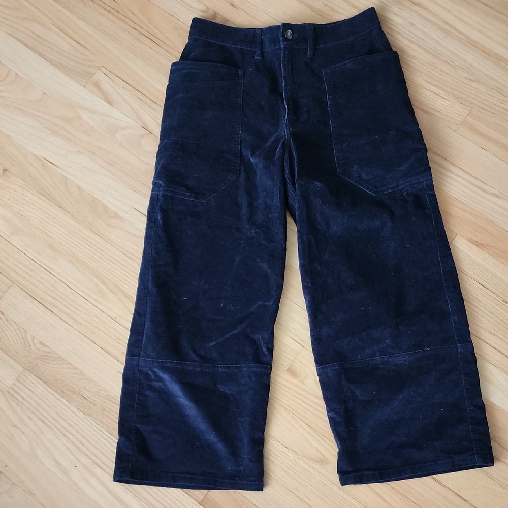 Everlane Dark Blue Corduroy Trousers